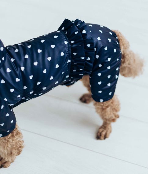 Дощовик ДЛЯ ДIВЧАТ рюша серця MD-20 | Зображення 1