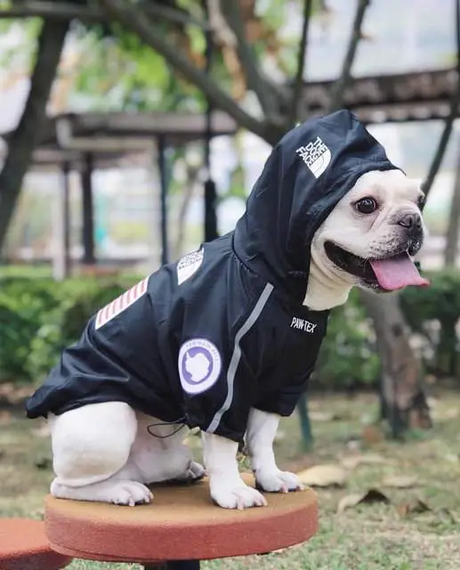 Куртка ветровка с тонкой подкладкой водонепронциаемая the dog face для собак черная M размер | Зображення 2