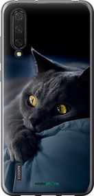 Чохол на Xiaomi Mi CC9 Димчастий кіт "825u-1747-2448"