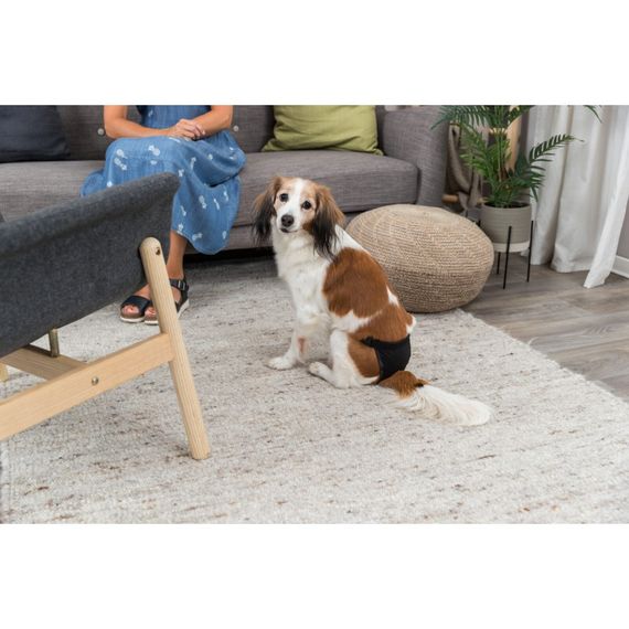 Одяг Trixie труси для собак чорні 40х49 см | Зображення 3