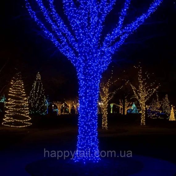 Гірлянда Різдвяна фея вулична 100 (м) 1000 LED чорний провід Синій CF1000L100MBBL | Зображення 1
