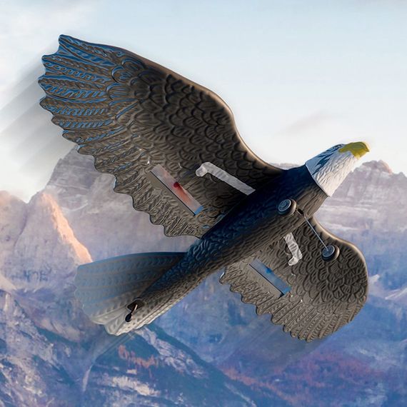 Самолет-птица на радиоуправлении SCHE HW40 Eagle Black | Зображення 1