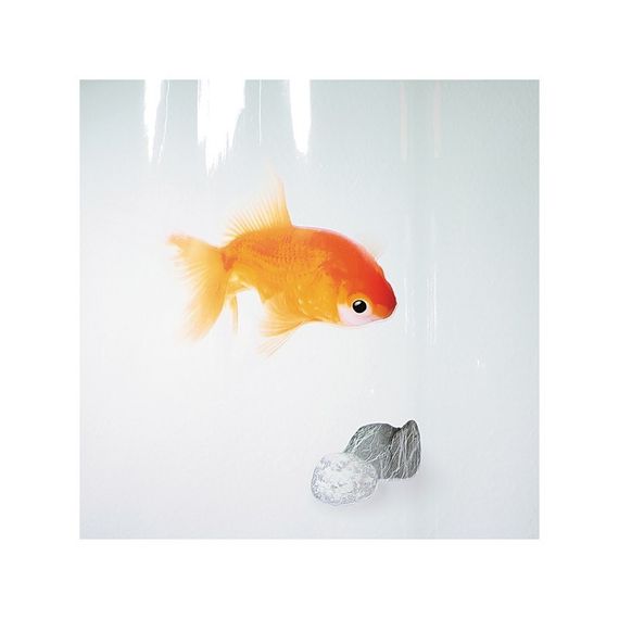 Шторка для ванной и душа Spirella Goldfish 180x200 см, водоотталкивающая PEVA, 10.00097 | Зображення 1