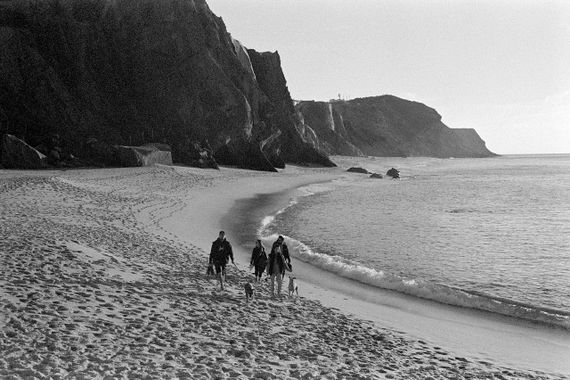 Фотопленка чёрно-белая ILFORD HP5 Plus 400 135-36 | Зображення 5