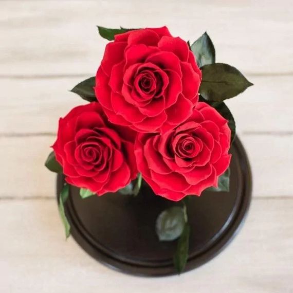 Троянди в колбі Lerosh, 3 вічні троянди у скляній колбі   знижка | Зображення 7