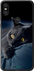 Чохол на Motorola One Димчастий кіт "825t-1589-2448"