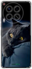 Чохол на Tecno Camon 30 4g Димчастий кіт "825sp-3712-2448"