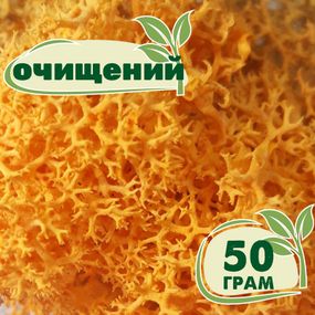 Очищений стабілізований мох ягель Жовтий осінній 50 грам