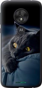 Чохол на Motorola Moto G7 Play Димчастий кіт "825u-1656-2448"