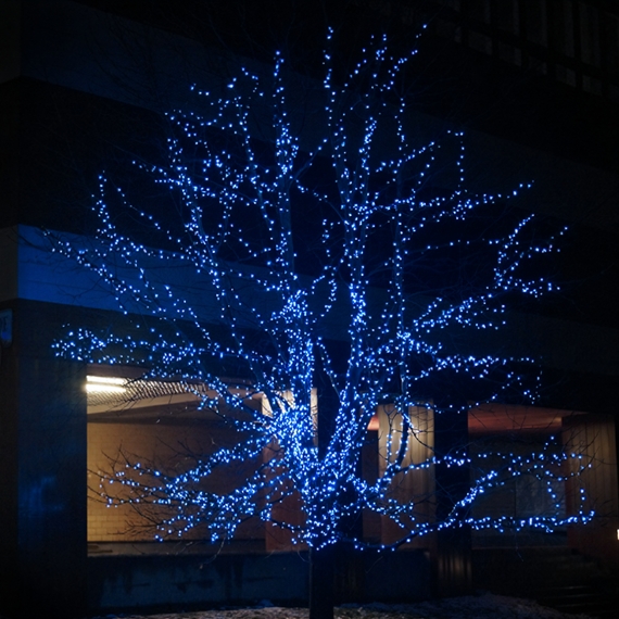 Новорічна гірлянда вулична 100 м 1000 LED із сонячною батареєю 8 режимів роботи чорний провід Синій SB1000L100MBBL | Зображення 2