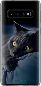 Чохол на Samsung Galaxy S10 Димчастий кіт "825u-1640-2448"