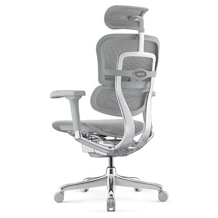 Кресло компьютерное ERGOHUMAN ELITE 2 (EHE2-AG-HAM-5D-L) сетка T-168-B2 | Зображення 6