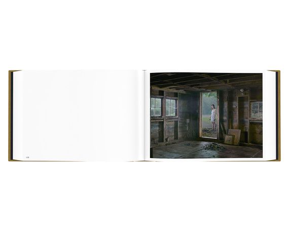 Лучшие фотографы мира работы Грегори Крюдсона книга про уличную фотографию Gregory Crewdson "Alone Street" | Зображення 7