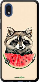 Чохол на Samsung Galaxy A01 Core A013F Єнотик з кавуном "4605b-2065-2448"