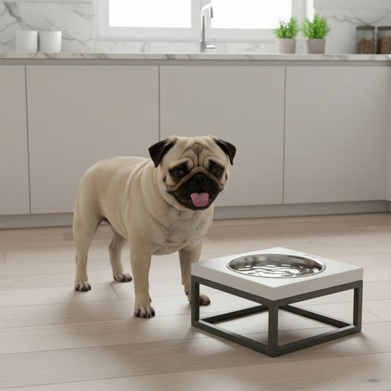 Миска на подставке для кошек и маленьких собак Hollky Base Solo S (1 × 0,45 л) Solo S-18187-GRWH | Зображення 6