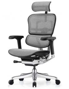 Кресло компьютерное ERGOHUMAN LUXURY 2 (EHL2-AB-HAM-5D-E-L) сетка Т-168-B2