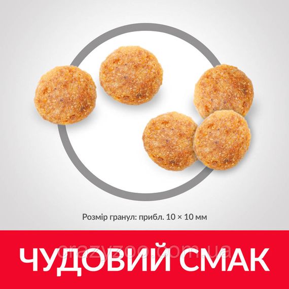 Сухий корм для котів Hill`s Chicken із куркою 15 кг 604063 | Зображення 2