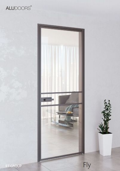 Двери межкомнатные AluDoors Fly Покраска по RAL