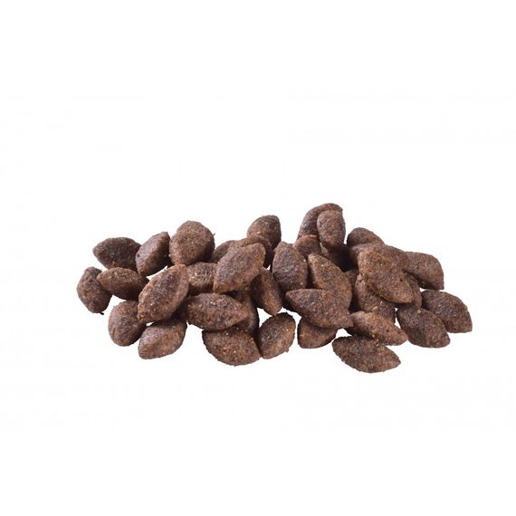 Корм сухий Brit Care Dog Sustainable Activity для дорослих собак з підвищеною активністю з куркою та комахами 3 кг | Зображення 1