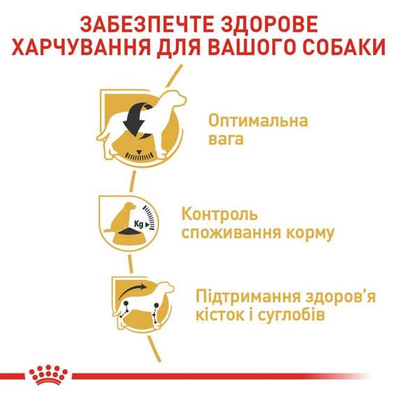 Корм Royal Canin Beagle Adult сухий для дорослих собак породи бігль 3 кг | Зображення 3