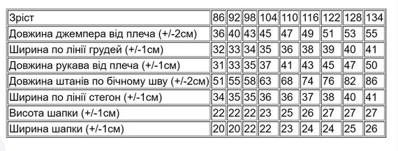 Костюм для хлопчика Носи своє 116 Блакитний (p-14767-167932) | Зображення 7