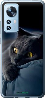Чохол на Xiaomi 12 Димчастий кіт "825u-2555-2448"