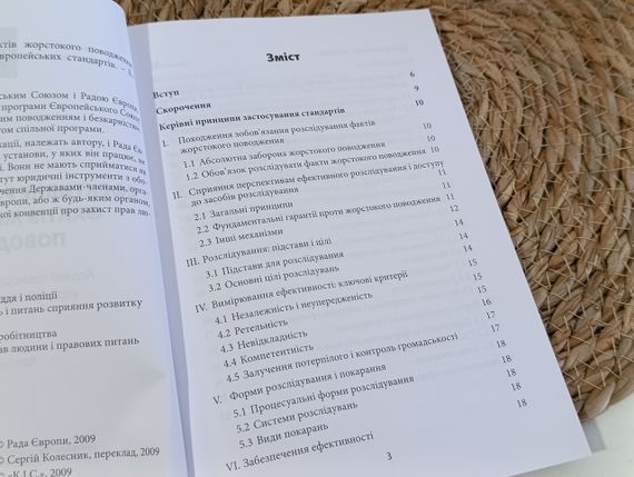 Ерік Сванідзе Ефективне розслідування фактів жорстокого поводження: Керівні принципи застосування | Зображення 2