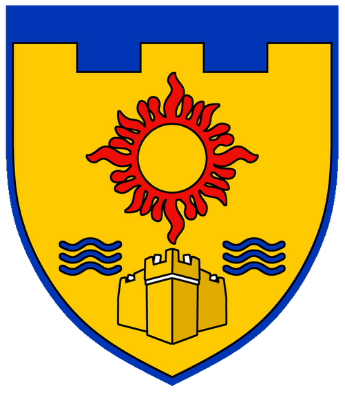 Шеврон 113 окремий батальйон територіальної оборони (вишитий)