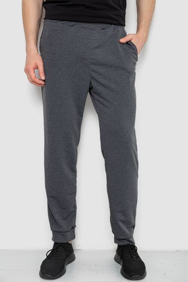 Спортивні штани чоловічі, колір сірий, 238R122