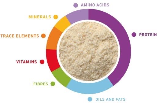 Корм для першого прикорму пташенят зерноїдних птахів Padovan Baby Patee Universelle, 100 гр | Зображення 1
