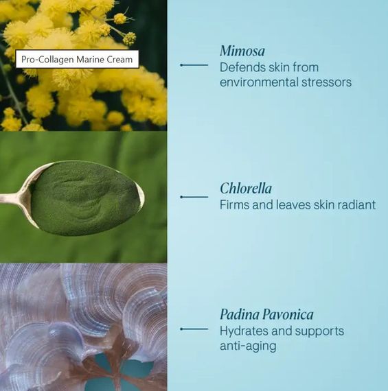 Антивіковий зволожуючий крем для обличчя Elemis Pro-Collagen Marine Cream 50 ml | Зображення 4