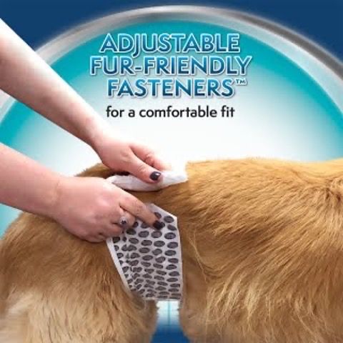 Одноразові підгузники для кобелів Simple Solution Disposable Male Wrap, розмір S | Зображення 3