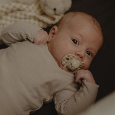 Пустышка Suavinex фізіологочна, 2 шт. 0-6 місяців, нічна/кролик (308214) | Зображення 5