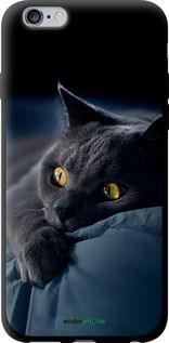 Чохол на iPhone 6s Plus Димчастий кіт "825b-91-2448"
