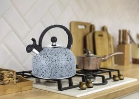 Чайник із свистком Gusto Геракл GT-1414-25 2.5 л
