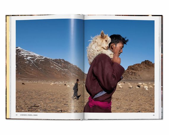 Лучшие фотографы мира подарочная книга по фотографии Стив Маккарри. Steve McCurry. Animals | Зображення 8