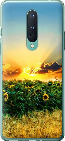 Чехол на OnePlus 8 Украина "1601u-1902-17620"