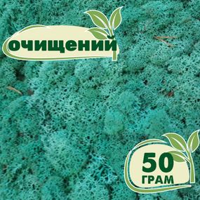 Очищенный стабилизированный мох ягель Nordic moss Изумрудный 50 грамм