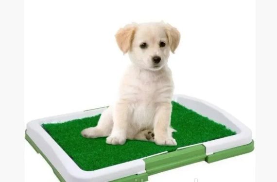 Туалет для собак Puppy Potty Pad MH-872 | Зображення 1