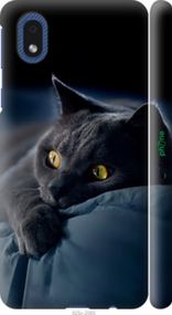 Чохол на Samsung Galaxy A01 Core A013F Димчастий кіт "825m-2065-2448"