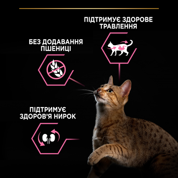 Сухий корм PRO PLAN Adult 1+ Delicate Digestion для дорослих котів із чутливим травленням, ягня 1.5кг | Зображення 5
