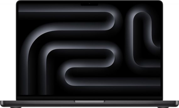 Ноутбук Apple MacBook Pro 14" Late 2024 Space Black (MCX04)