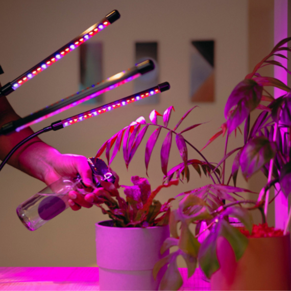 Фітолампа на прищіпці з таймером для вирощування рослин на 4 led модулі USB 3 режиму | Зображення 5