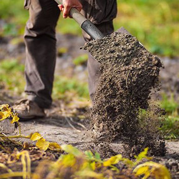 Совковая лопата Werk WS-002 | Зображення 1
