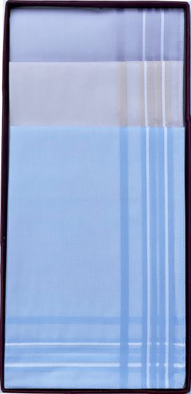 Чоловічі бавовняні носові хустинки Guasch 103.95 D230