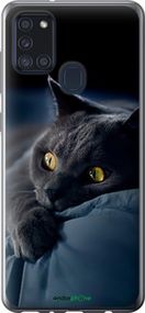 Чохол на Samsung Galaxy A21s A217F Димчастий кіт "825u-1943-2448"