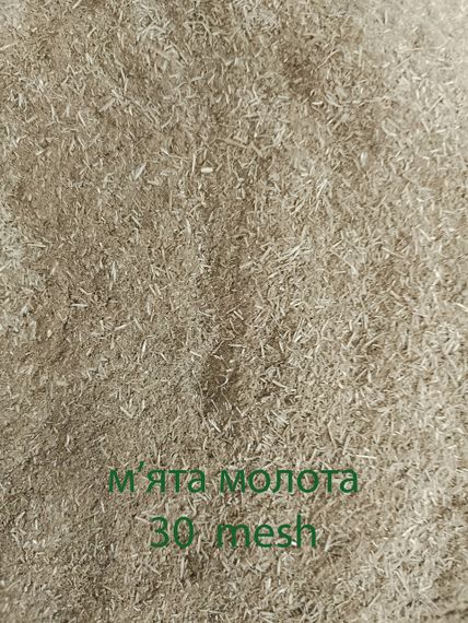 Мята, порошок, мука из листьев мяты, 200 mesh, 100г | Зображення 1