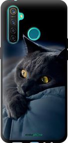 Чохол на Realme 5 Pro Димчастий кіт "825b-1861-2448"