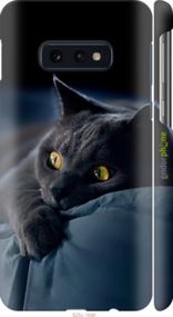 Чохол на Samsung Galaxy S10e Димчастий кіт "825m-1646-2448"