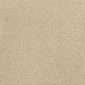 Лінолеум Tarkett Spark V 01 (2m)